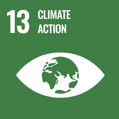 Matte green square on which in white is the pictogram of an eye, whose pupil is the globe. At the top edge in white the number 13 and the words "climate action". 