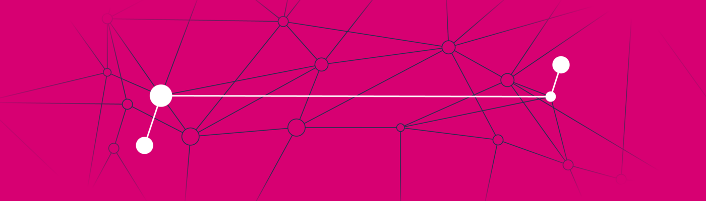 Pinkfarbener Hintergrund mit feinen schwarzen und weißen Linien, die miteinander verbunden sind und die Vernetzung symbolisieren sollen