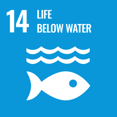 Medium blue square with a white pictogram of a fish above which two waves curl. At the top of the picture in white the number 14 and the words "Life below water".