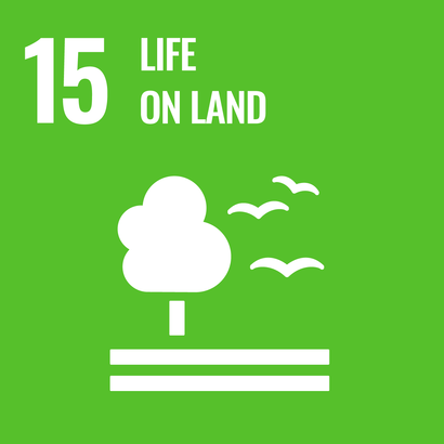 Rich green square with white pictogram showing a tree on a strip of landscape next to which fly 3 birds. At the top of the picture in white the number 15 and the words "Life on land".