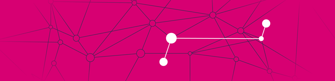 Pinkfarbener Hintergrund mit feinen schwarzen und weißen Linien, die miteinander verbunden sind und die Vernetzung symbolisieren sollen