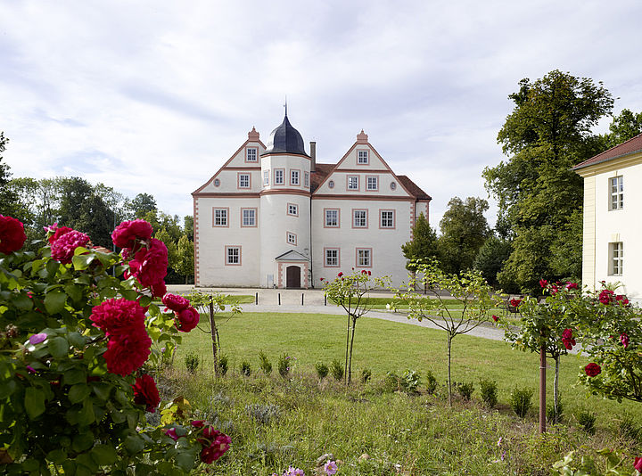 Blick auf der Schloss Königs Wusterhausen mit Rosen im Vordergrund