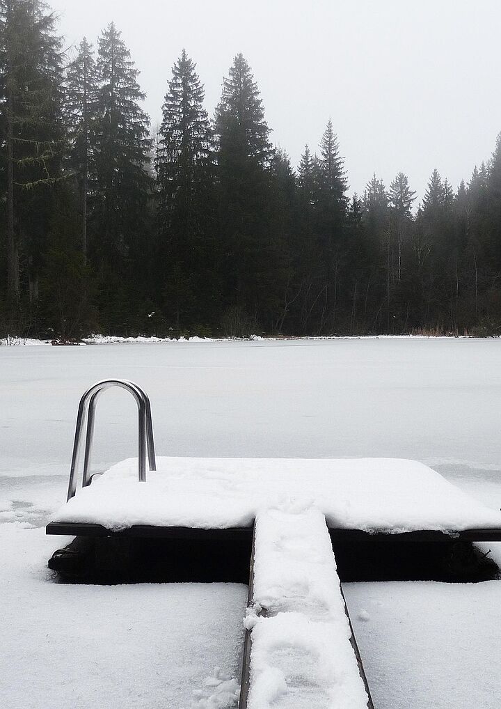 Schnee, Eis, See, Bäume Eisbaden